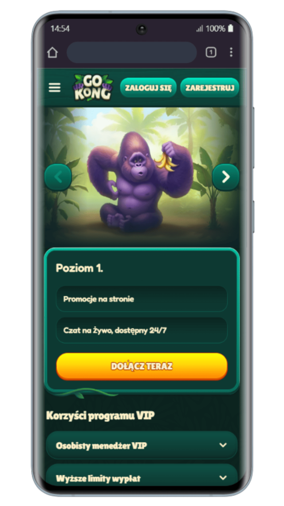 Gokong Casino Vip Loyalty Program