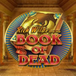 Gokong Casino Sloty Book of Dead